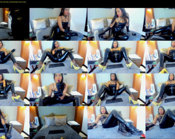 alissa_shell
