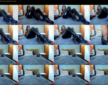 alissa_shell