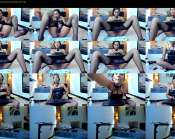 alissa_shell
