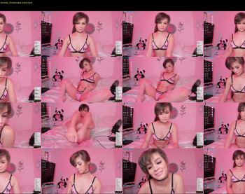 fern_cb