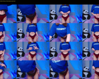 little_panda_