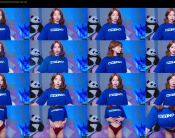 little_panda_
