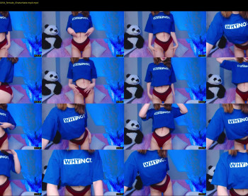 little_panda_