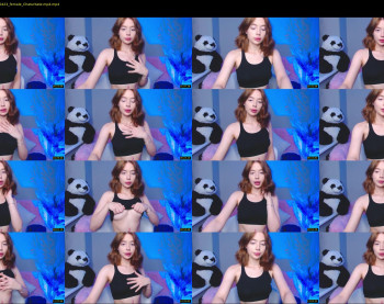 little_panda_