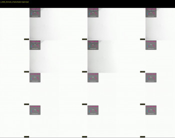 thepam_boobs