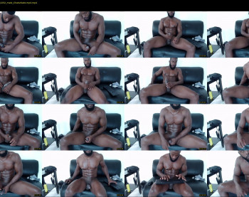 dalehamilton