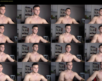 ryanflex