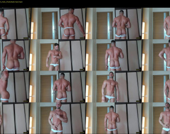 _adam19