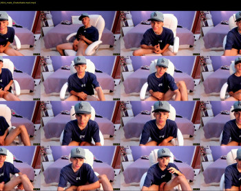 austin_falcon