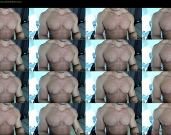 flex_x_x