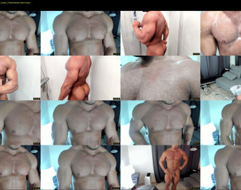 flex_x_x