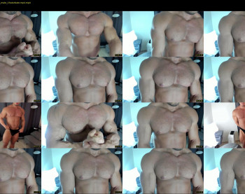 flex_x_x