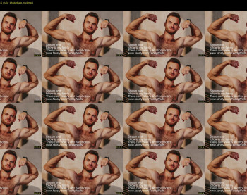 hot_bear_