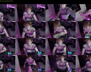 alvin__main