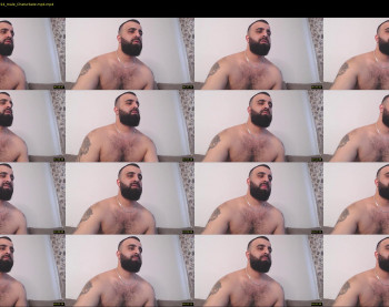 djefri_bear