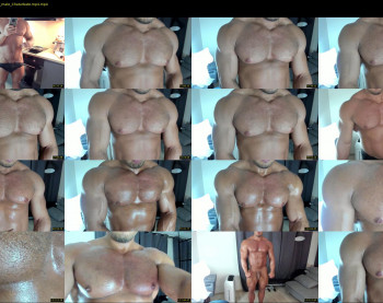 flex_x_x