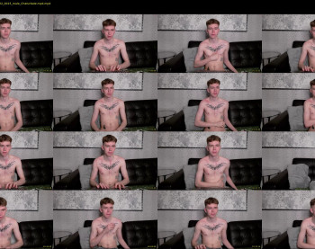 matthewcollinss