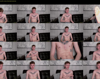matthewcollinss