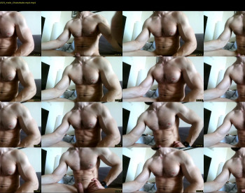 nick_thestud