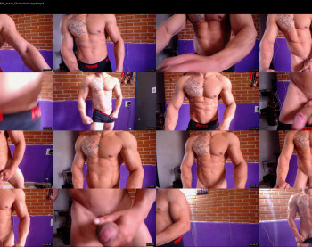 bestmuscle