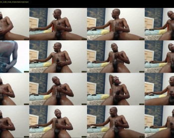 black_11inchees