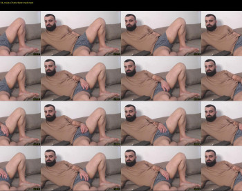 djefri_bear