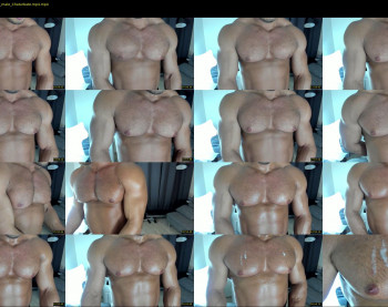 flex_x_x