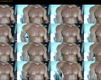flex_x_x