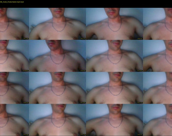 vitellone_2