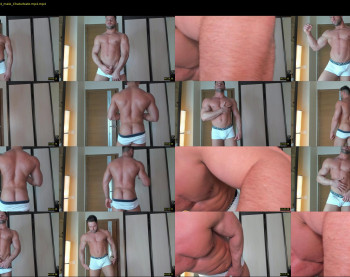 _adam19