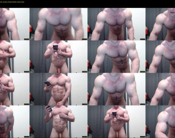 andry_dick