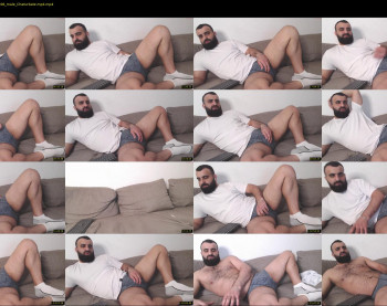 djefri_bear