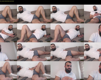 djefri_bear