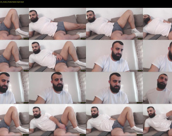 djefri_bear