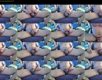 myster_fox