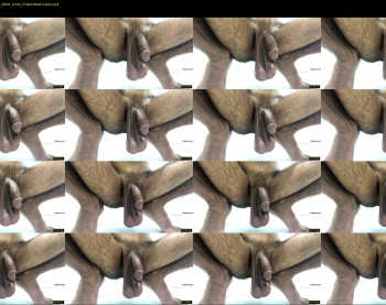 saudi_arabia7
