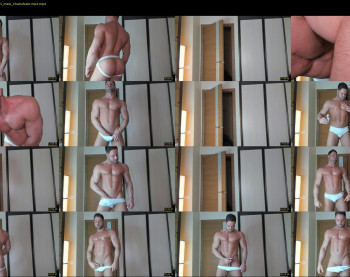 _adam19
