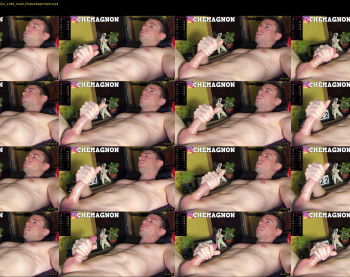 abdominator_xxx