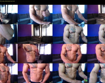 bestmuscle