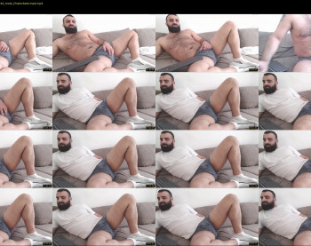 djefri_bear