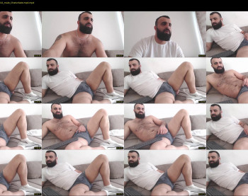 djefri_bear