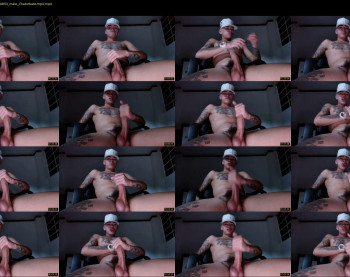 dominickwild