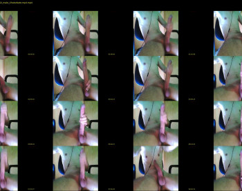 lux_ff