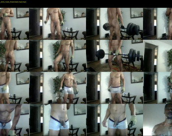 sharkdickwilly