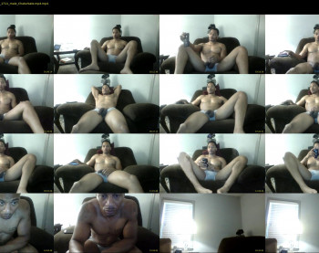 sharkdickwilly