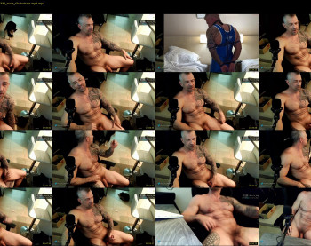 muscle_dog