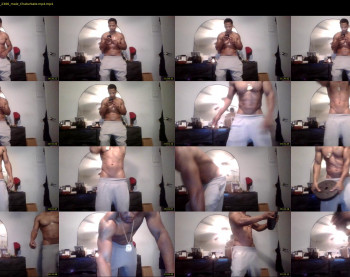 sharkdickwilly