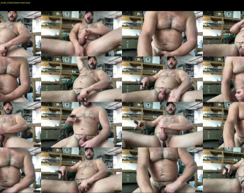 cjbbear