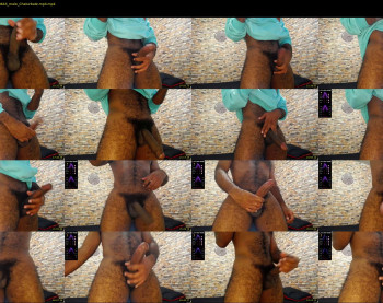 ddly_donato
