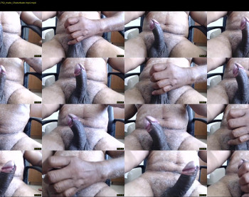 escorpion51